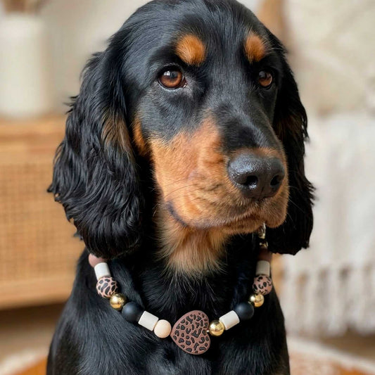 Collier antiparasite naturel pour chien Fauve sur mesure