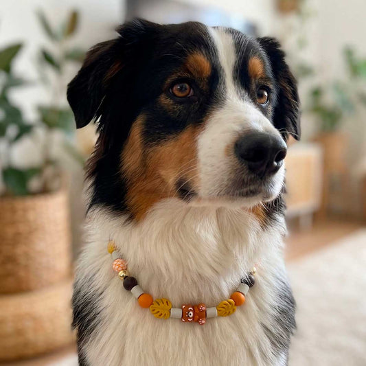 Collier antiparasites naturel pour chien Savana – perles céramiques EM