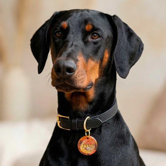 Médaille chien personnalisée Lune Fauve en résine époxy – 3 cm ou 4 cm