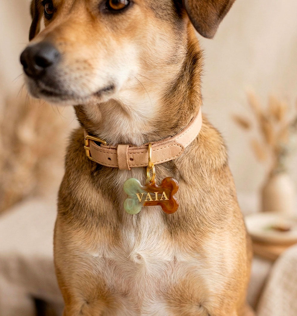 Médaille chien personnalisée Terre de Sauge