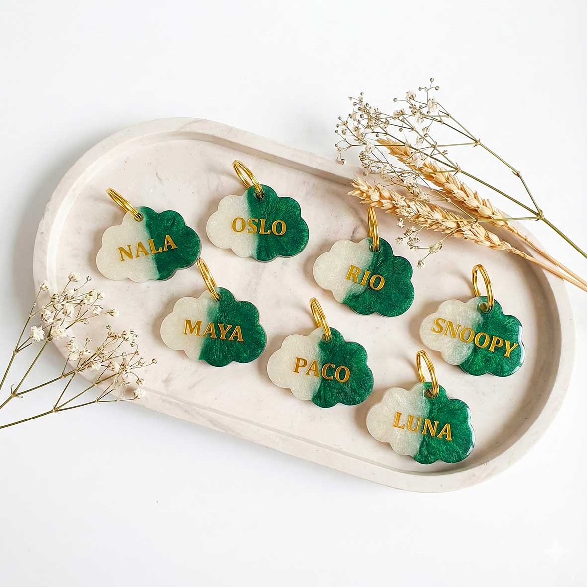 Médaille chien personnalisée – Nuage “Velours de Forêt” by Noméa