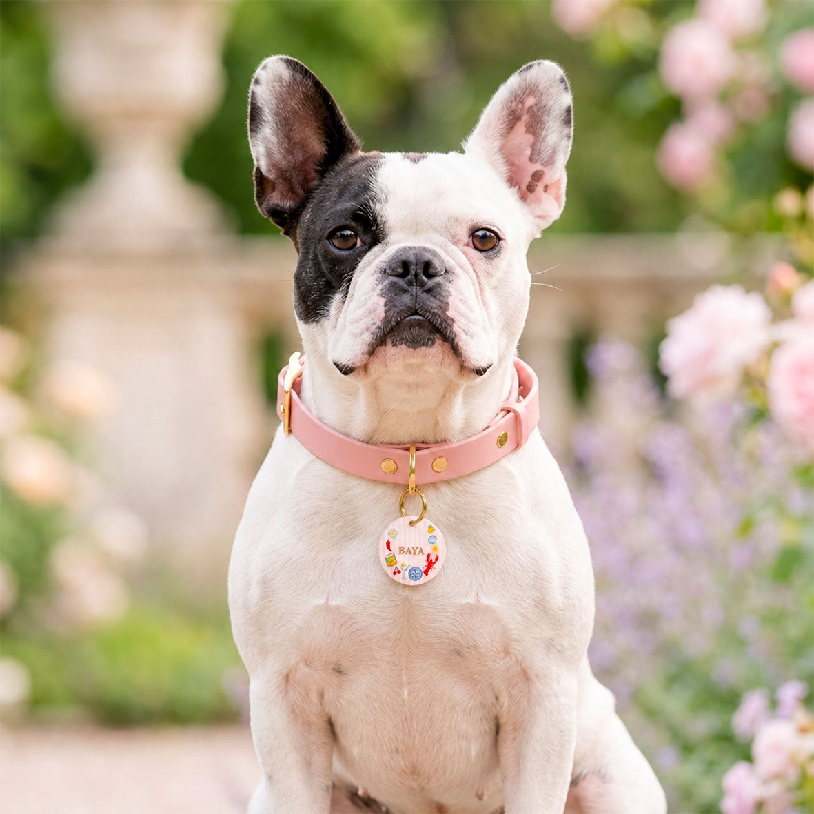 Médaille chien personnalisée Dolce Riviera – rose pastel