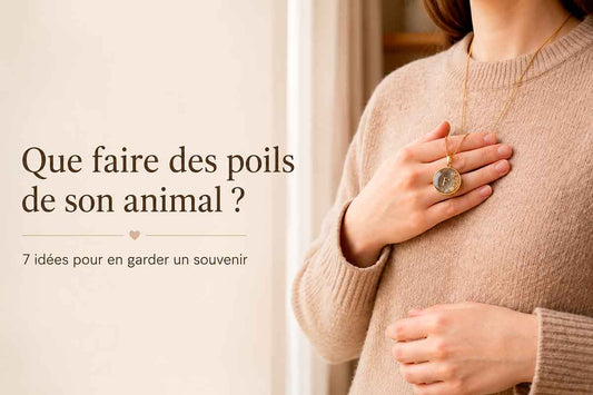 Mèche de poils de chien ou de chat conservée comme souvenir
