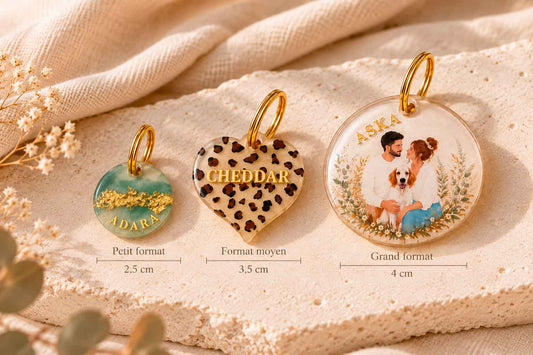 Comparatif de trois tailles de médailles personnalisées pour chien Noméa : petit format 2,5 cm, moyen 3,5 cm et grand 4 cm.
