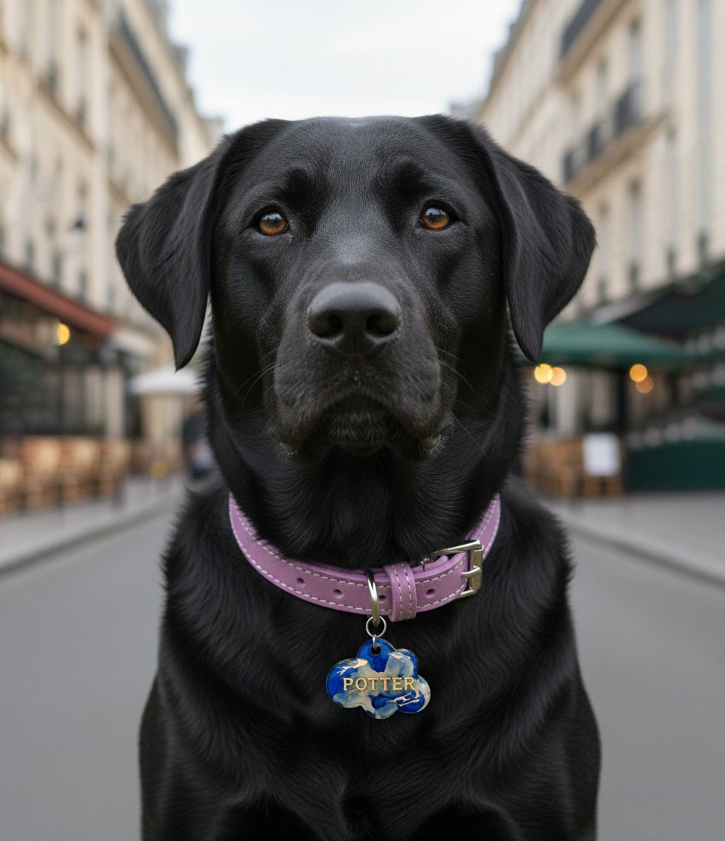 Médailles pour chien personnalisées, Nomea