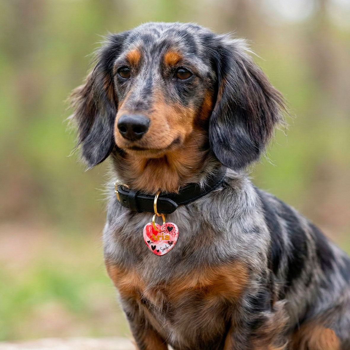 Médaille pour chien personnalisée - Cœur Pop Love ( marbré rouge & prénom doré )