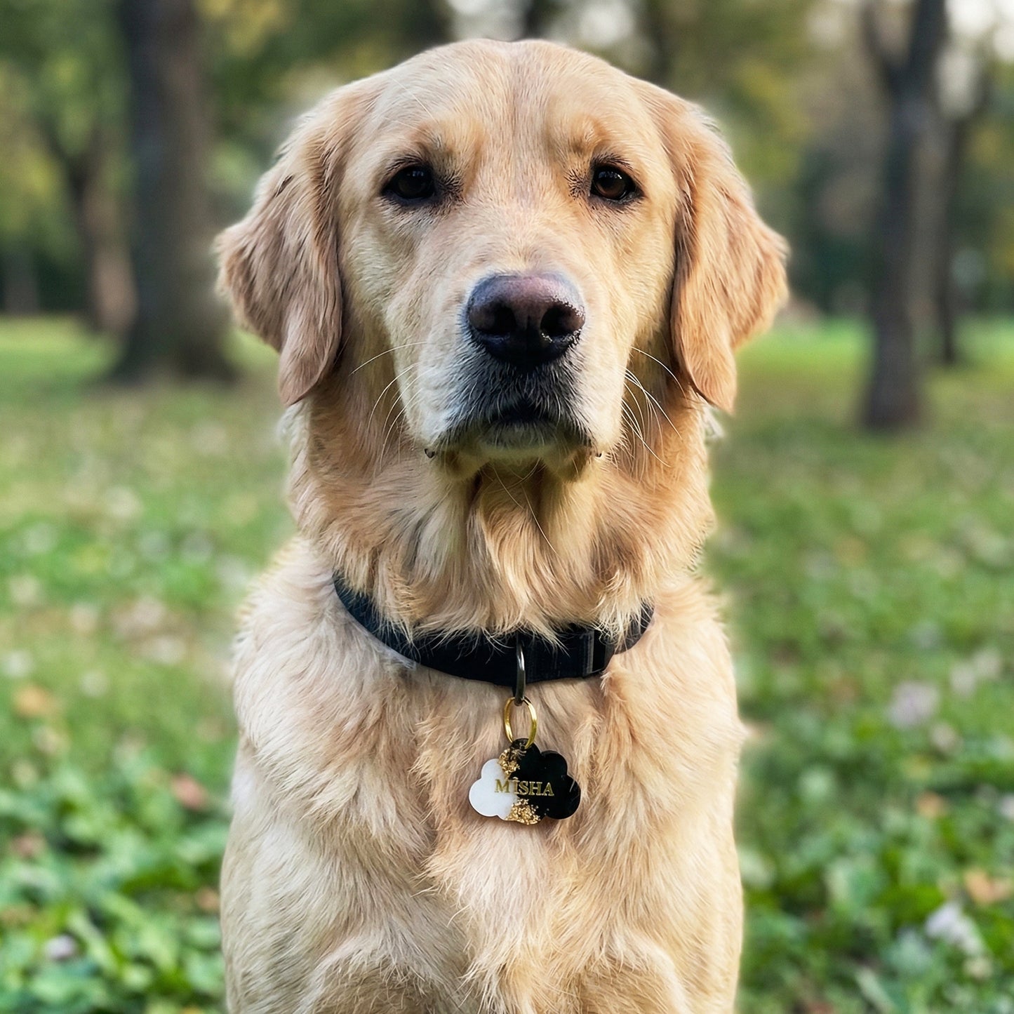 Médaille chien personnalisée – Onyx & Ivoire, nuage noir et blanc, feuille d’or