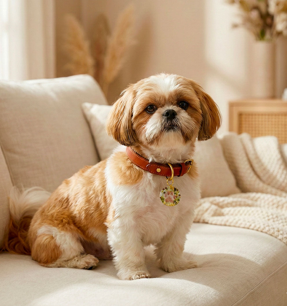 Médaille chien personnalisée en résine – Empreinte Minérale Rosée ( avec prénom )