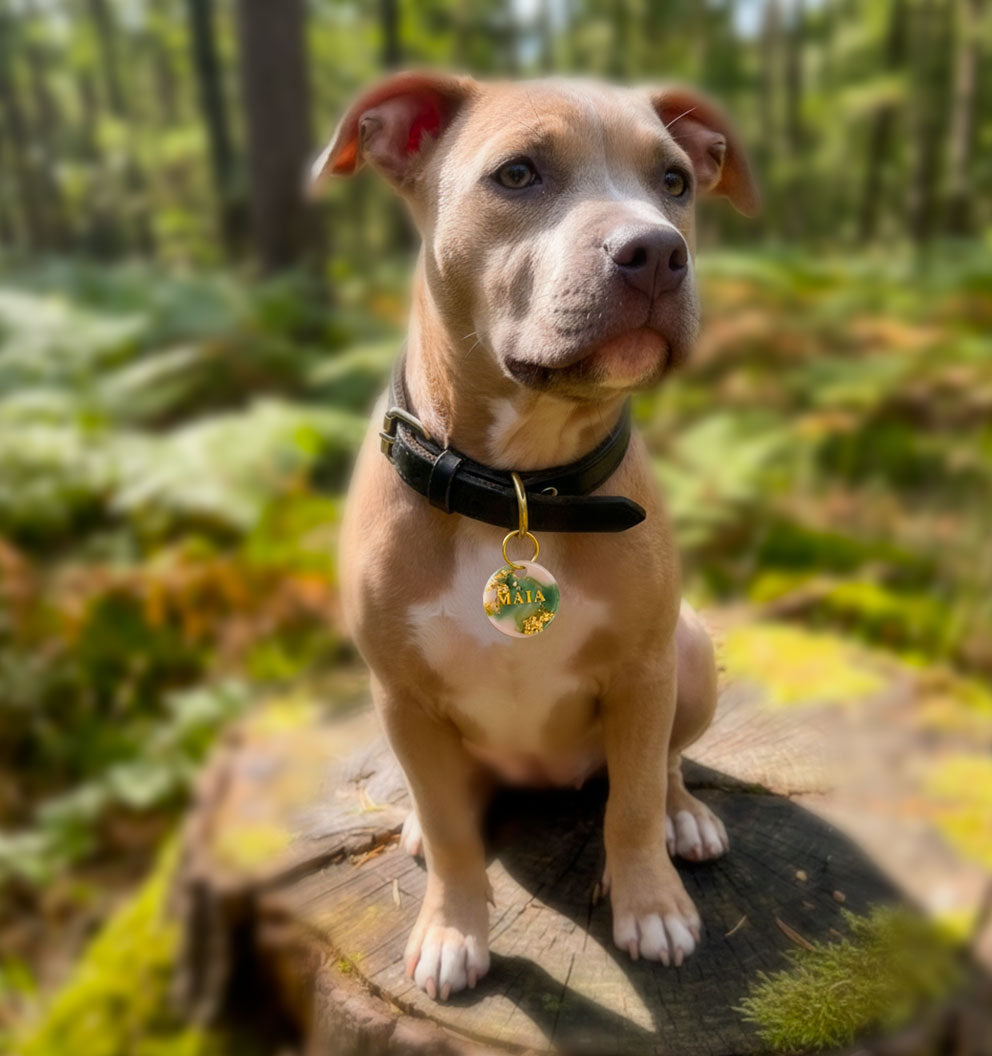 Médaille chien personnalisée en résine – Opale Sauge ( or, rose nude  & vert sauge)