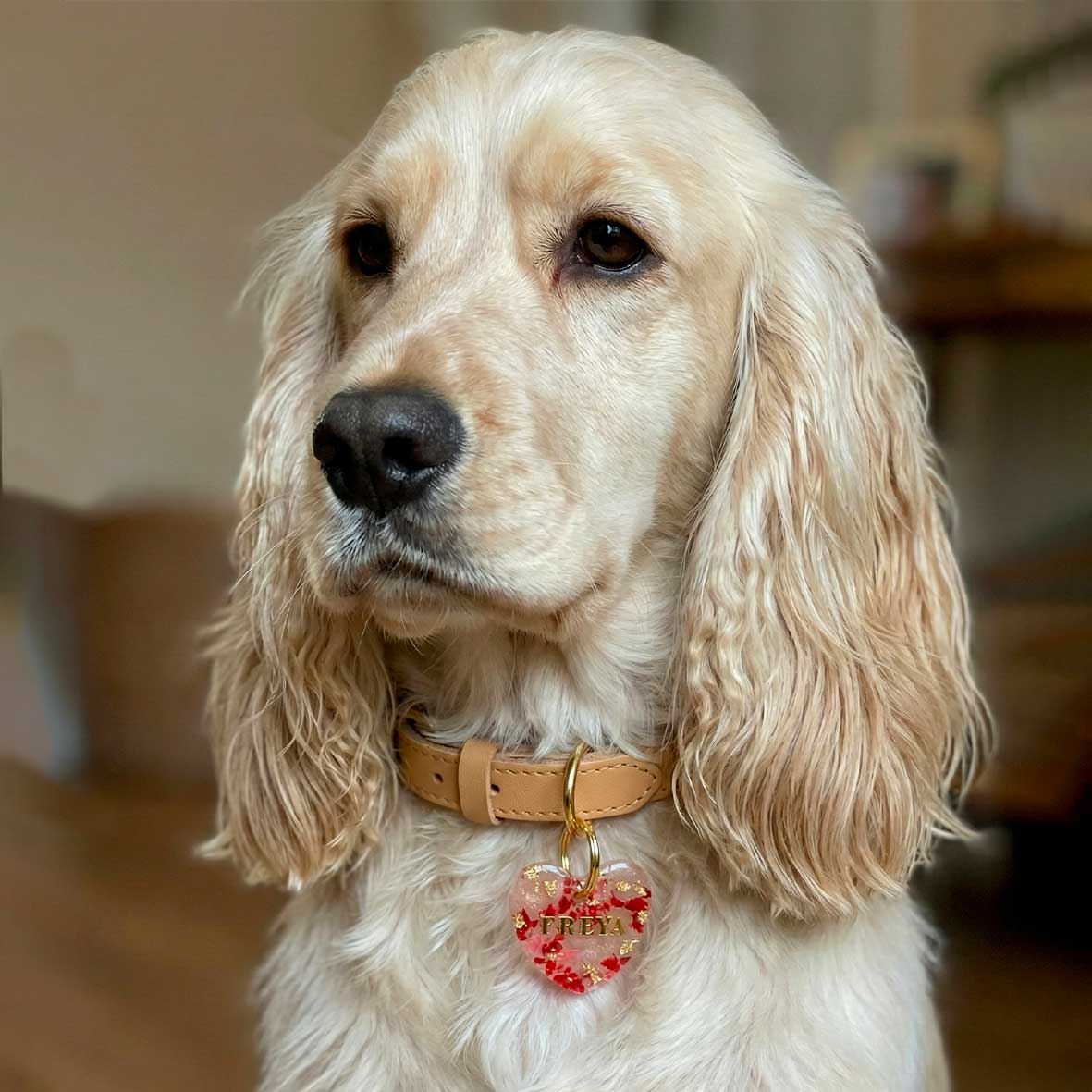 Médaille chien personnalisée – Cœur “Pétales Pourpres”