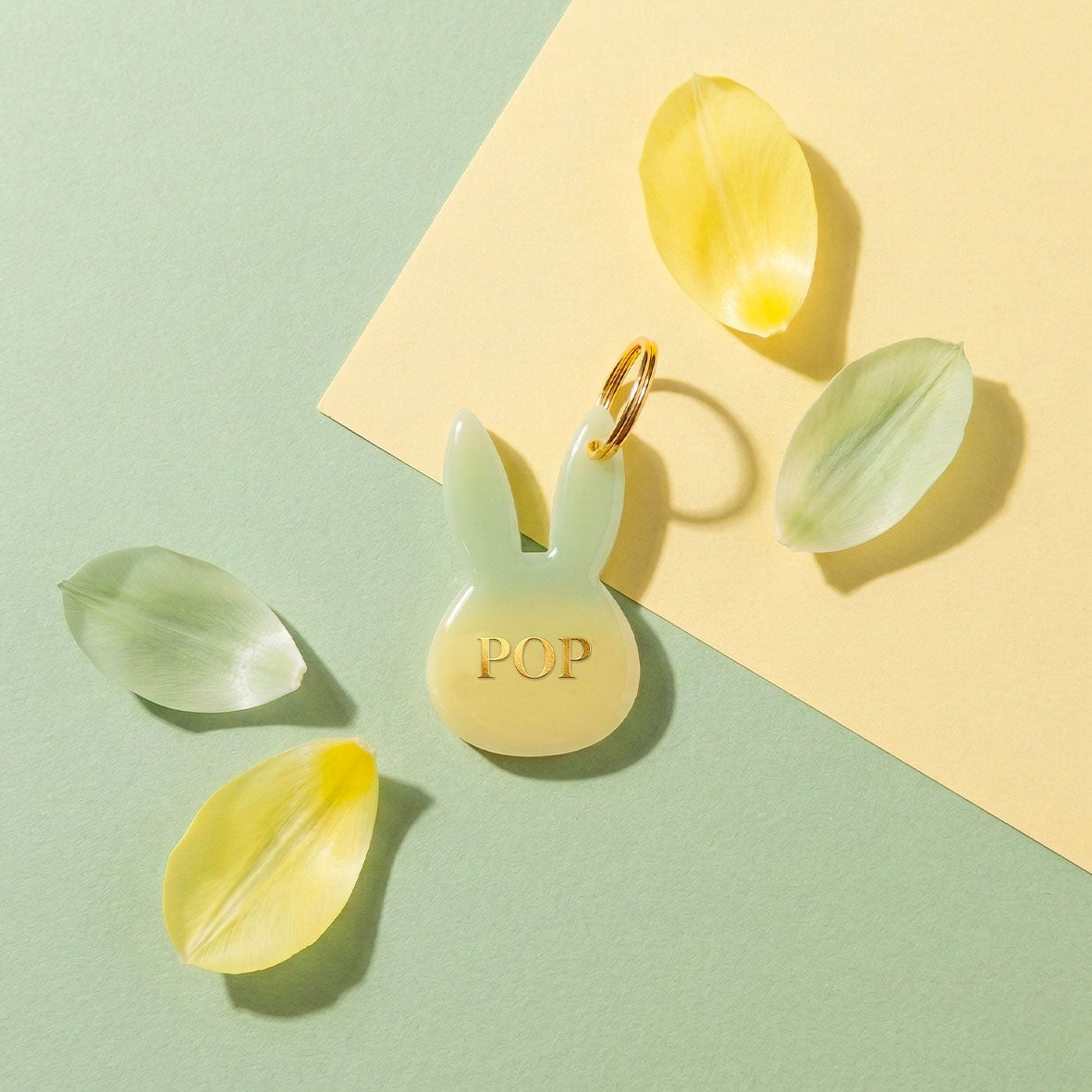 Médaille chien personnalisée Lapin Sorbet - Dégradé vert & citron | Noméa Création