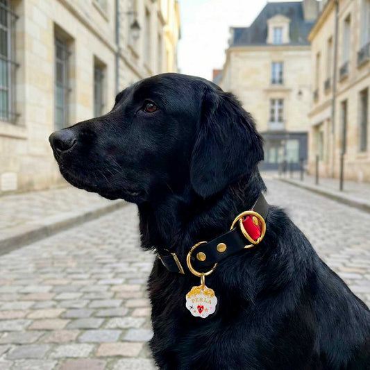 Médaille pour chien personnalisée en résine blanche – Cœur Oracle avec feuilles d’or & symboles