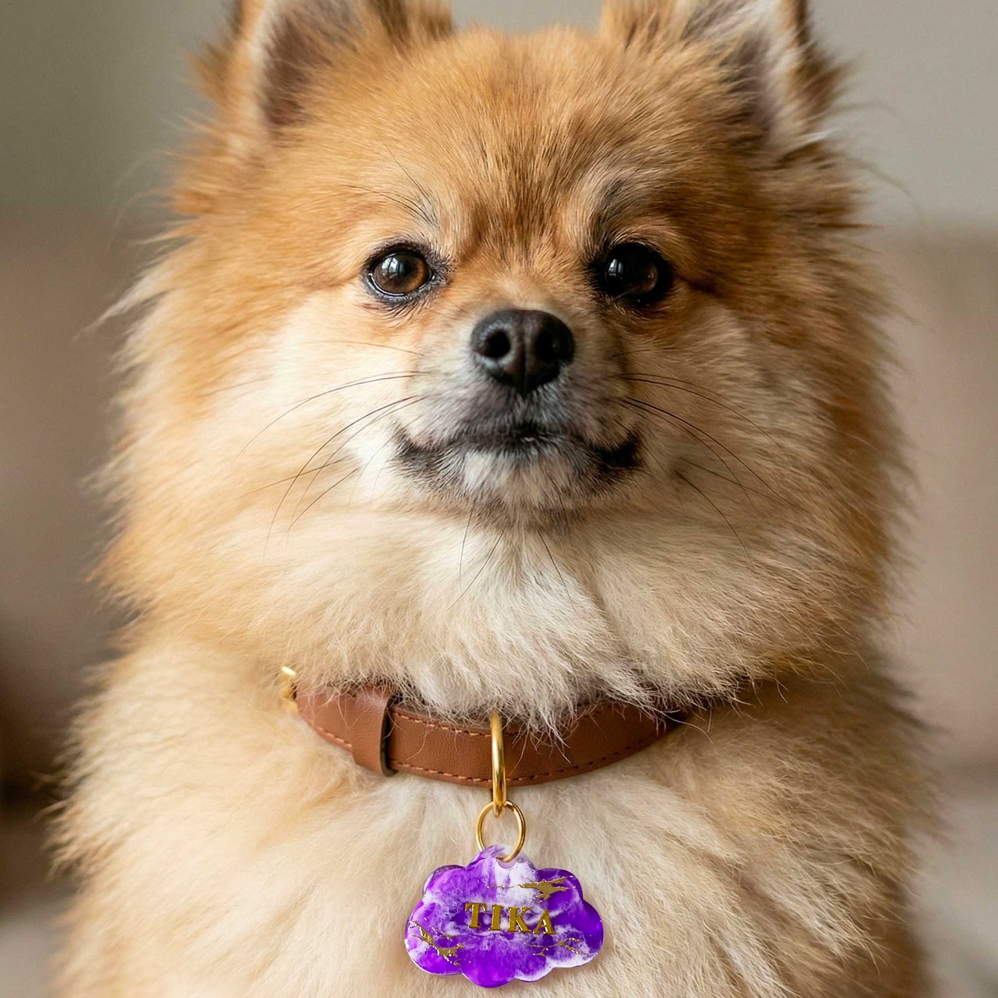 Chien portant une médaille nuage marbré violet et doré personnalisée (Noméa)