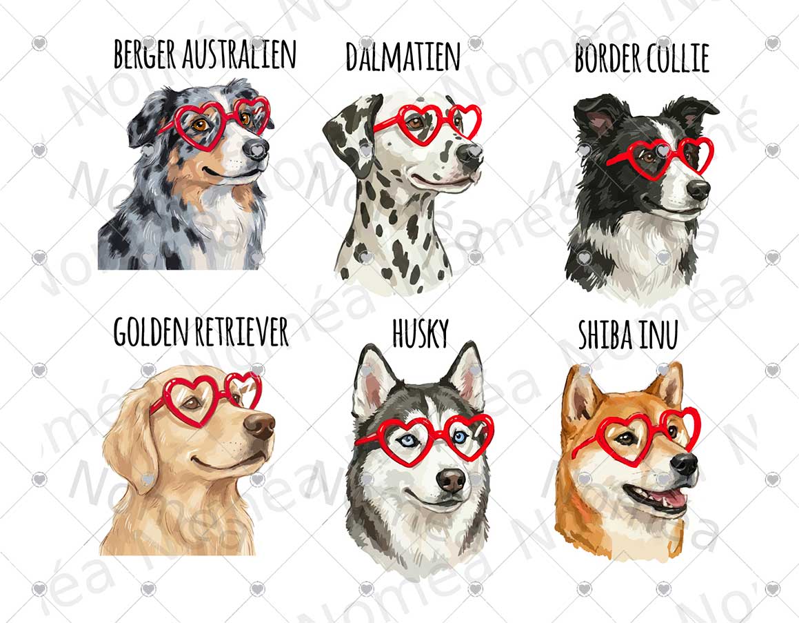 Médaille chien personnalisée – Portrait de race illustré