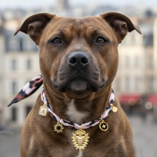 Collier bandana chien léopard rose satiné 50 cm réglable breloques dorées