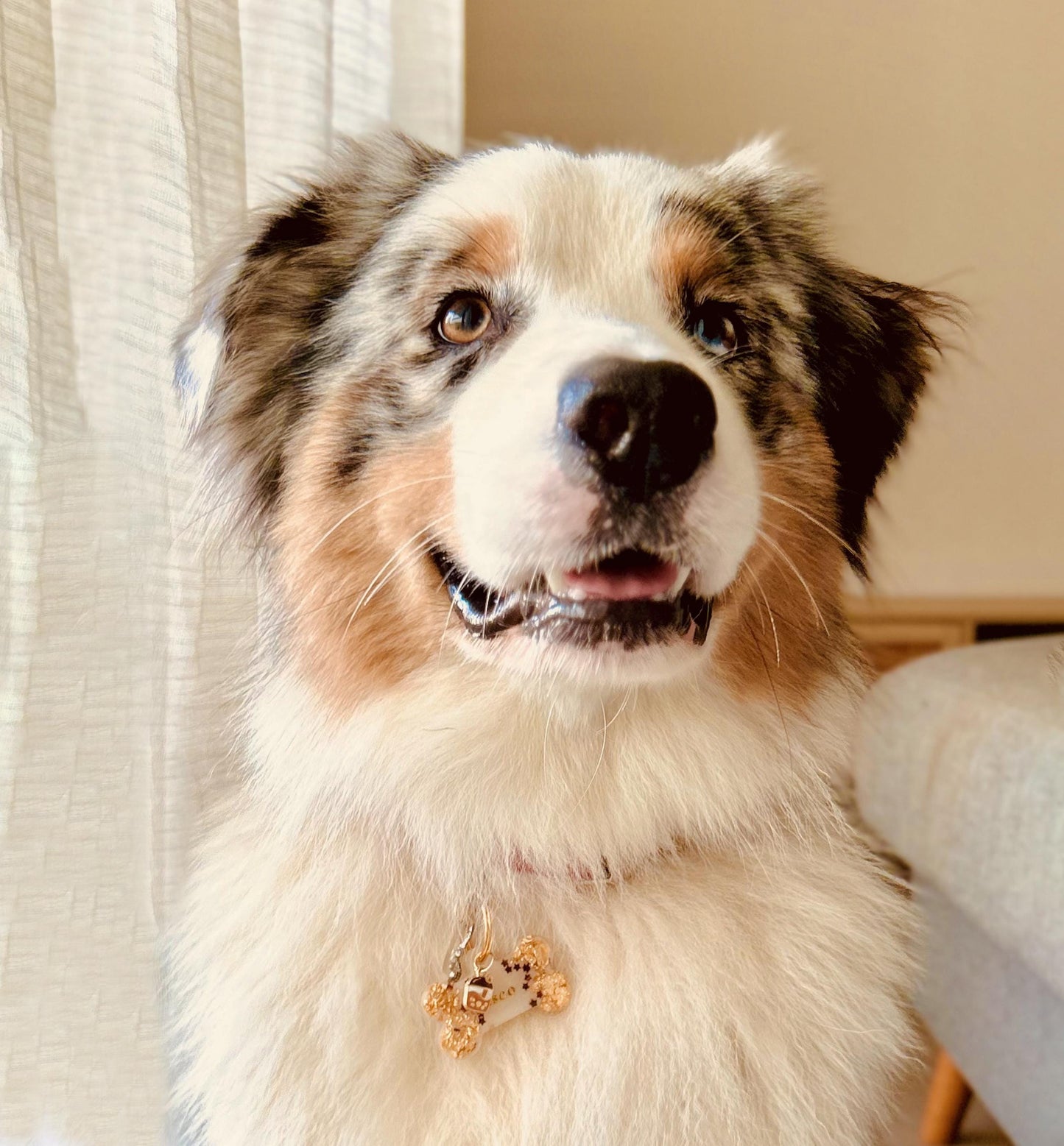 Médaille chien personnalisée en résine époxy – Os “Latte”