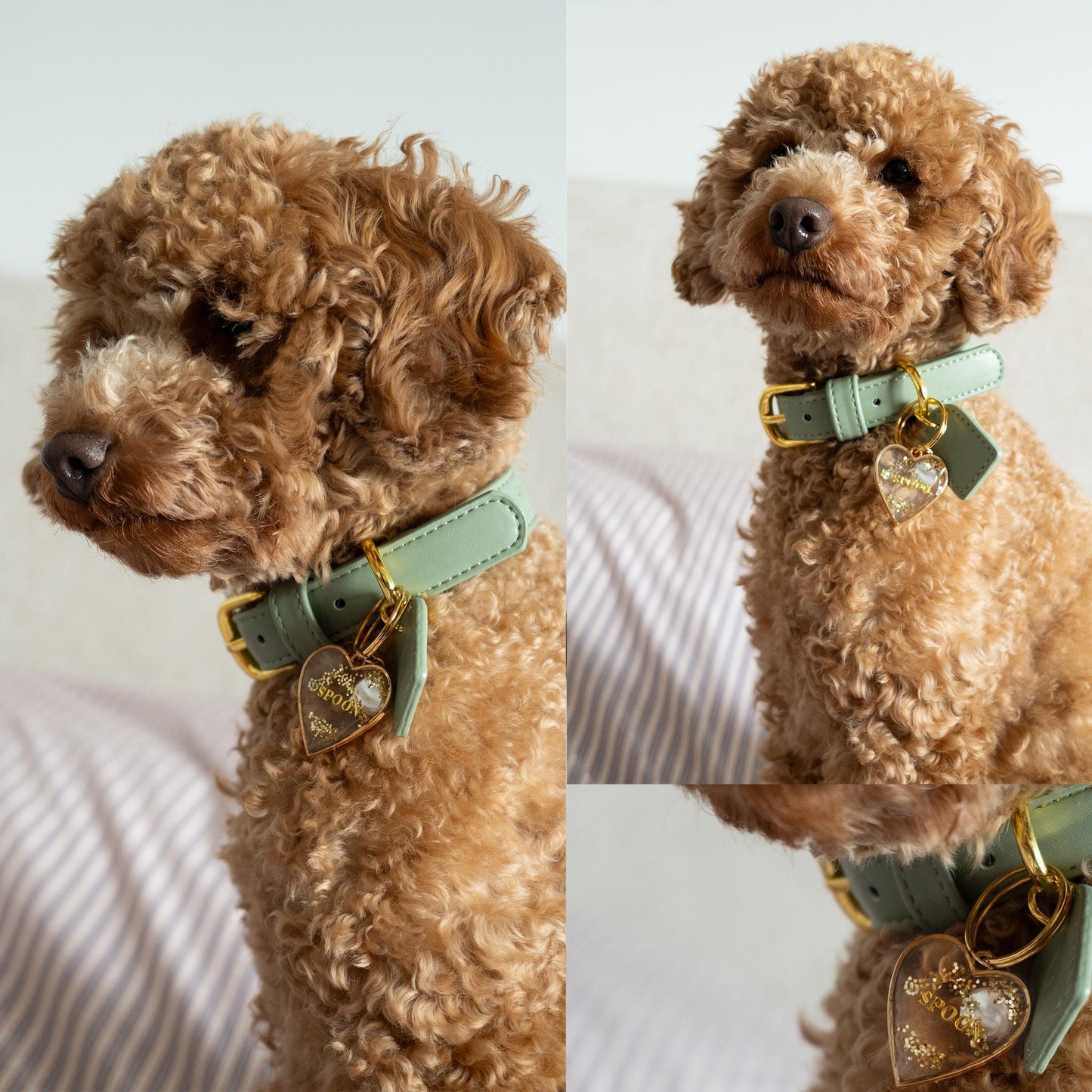 Médaille chien personnalisée en résine Cœur Féerique par Noméa