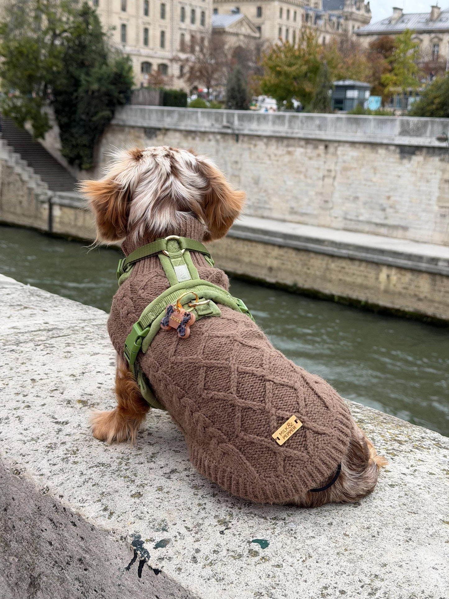Médaille chien personnalisée en résine – Os Noir Pailleté