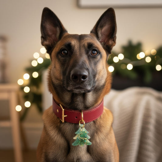 Médaille chien personnalisée - sapin vert, reflets dorés & inclusions scintillantes