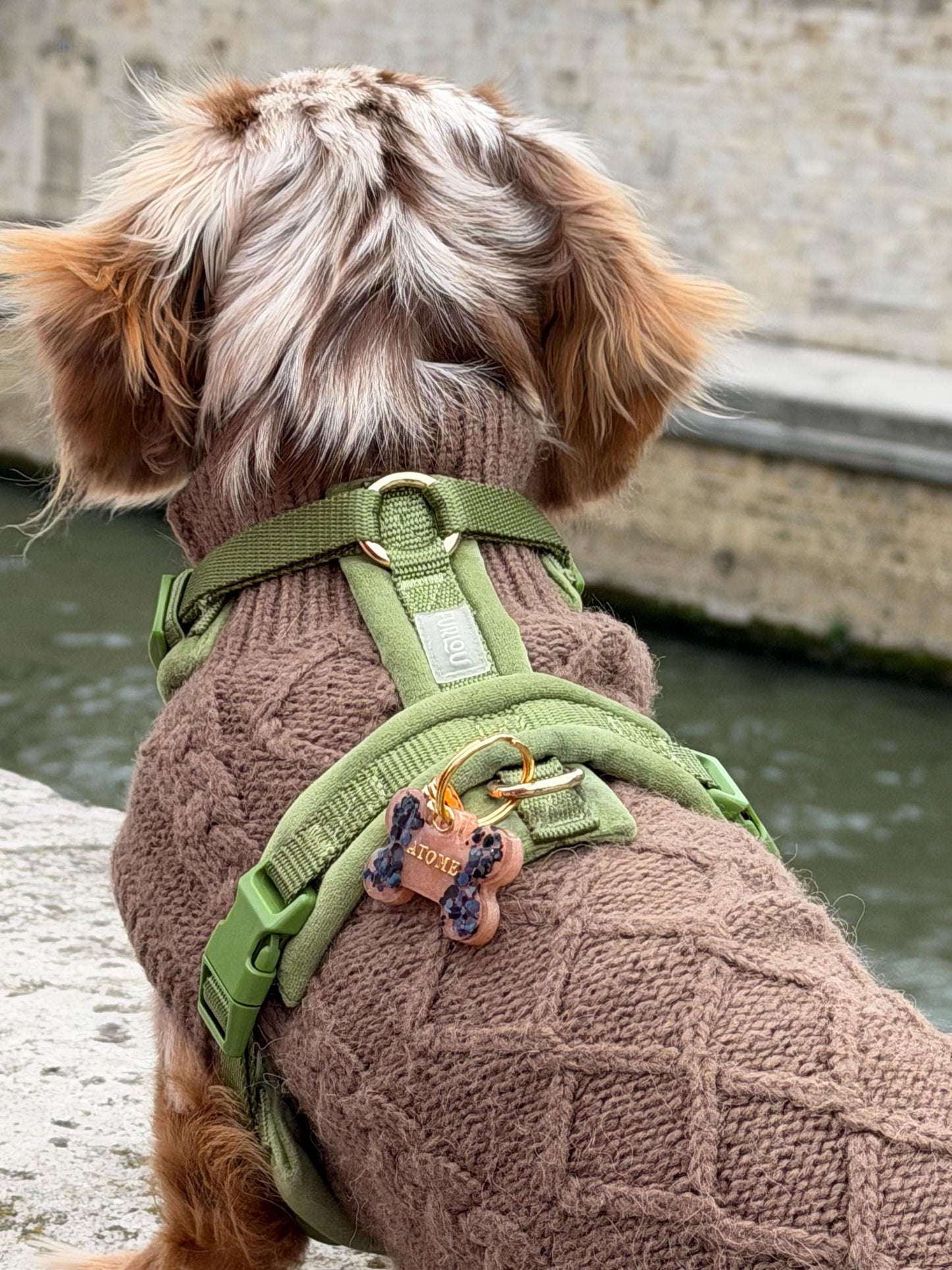 Médaille chien personnalisée en résine – Os Noir Pailleté