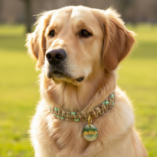 Médaille chien personnalisée en résine – Ronde Marbre Vert & Or
