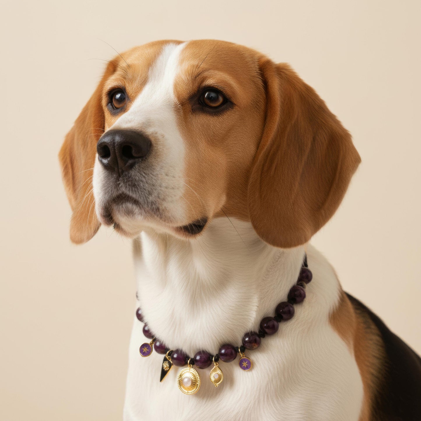 Collier bijou bohème “Améthyste” pour chien – Sur-mesure & initiale en option