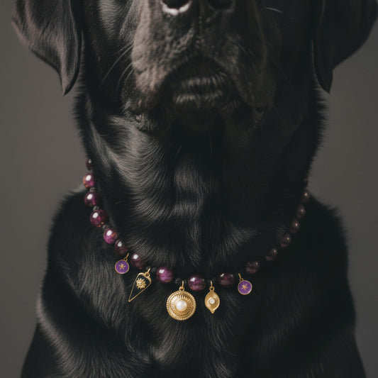 Collier bijou bohème “Améthyste” pour chien – Sur-mesure & initiale en option