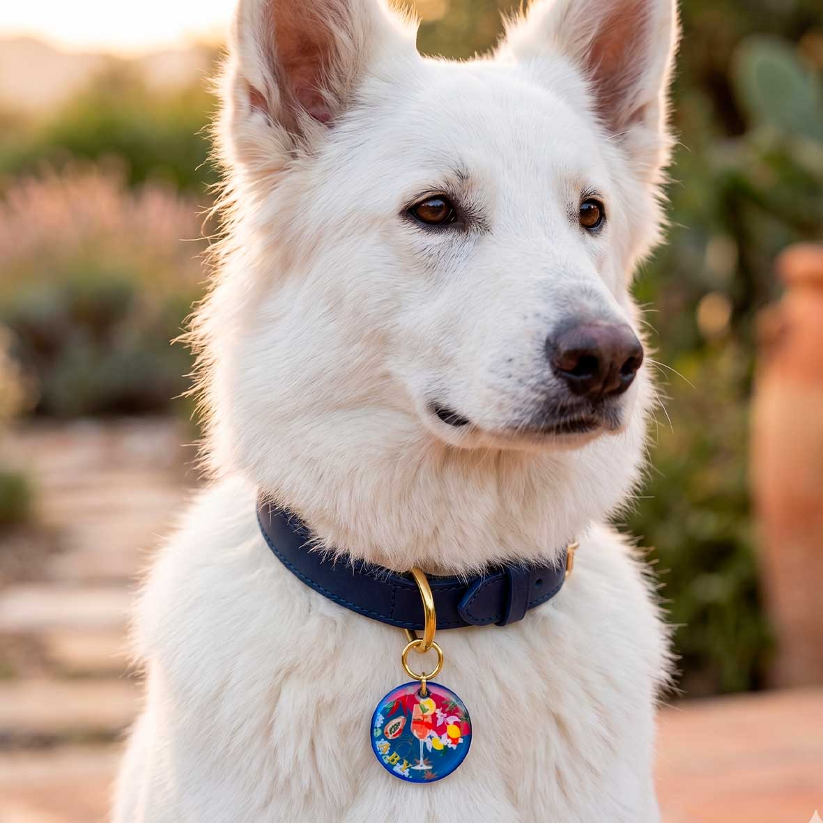 Médaille Chien Personnalisée - Modèle Azul Tropical  ( Résine )