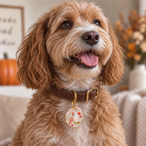 Médaille chien personnalisée - Fantôme des fleurs