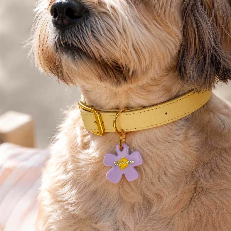 Mimosa Lila - Médaille chien personnalisée fleur
