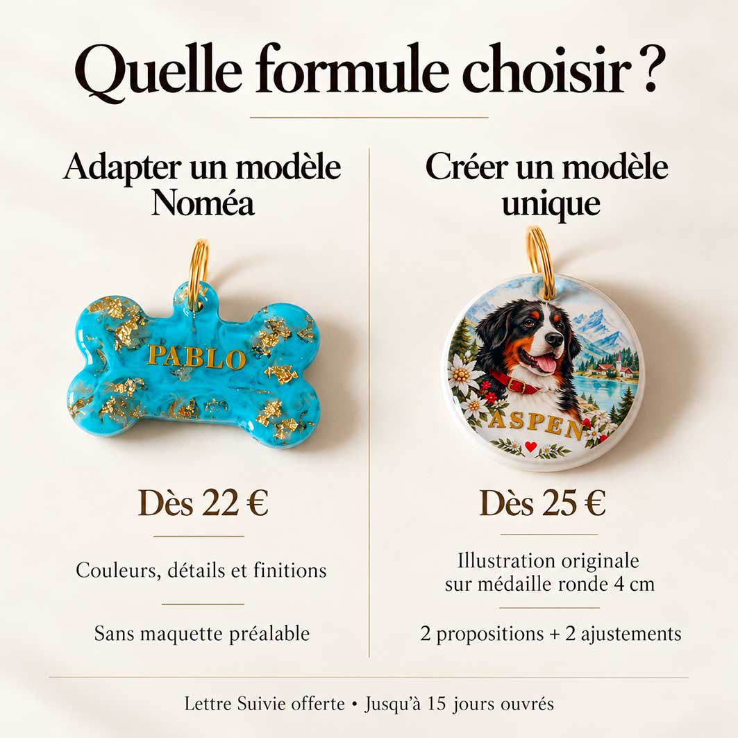 Comparatif des deux formules Noméa : adaptation d'une médaille existante dès 22 € ou création graphique originale sur médaille ronde dès 25