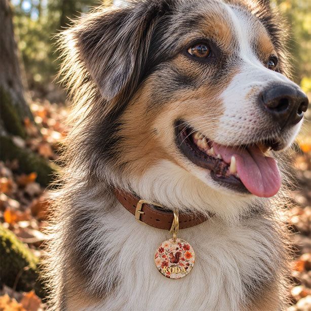 Médaille chien personnalisée - Noisette d’automne